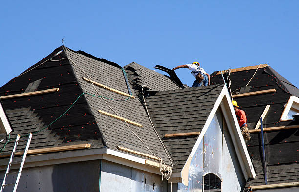 Best Storm Damage Roof Repair  in Bear Creek, AK